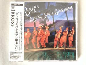 BROSS BROSS/オトコはそれをガマン出来ない