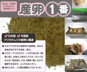 【５袋限定】産卵１番 １０L