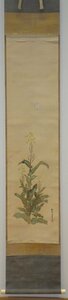 rarebookkyoto　YU-195　池田孤邨・蓮庵・三信・琳派・抱一の弟子　　　菜花蝶・絹本設色　　1860年頃作　京都古物