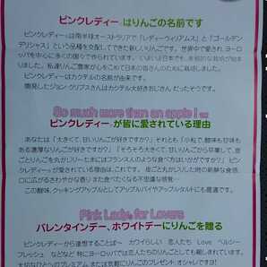 No.７３品種名 クリプスピンク 「ふじに飽きたら ピンクレディ 」 約２.６Kg 硬めの リンゴ 長野県産 家庭用  画像は現物 約２０個の画像3