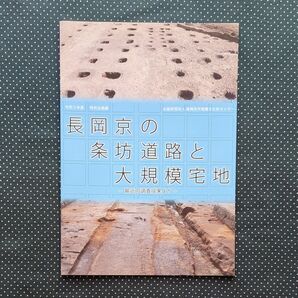 長岡京の条坊道路と大規模宅地展図録