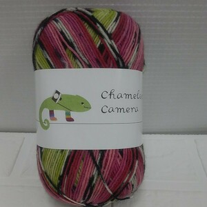 100円～12 chameleon camera 毛糸 手芸材料 編み物◆カメレオン ソックスヤーン
