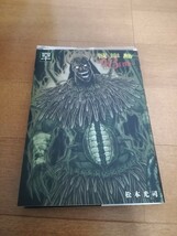 彼岸島 48日後…　1～40巻　40冊セット_画像4