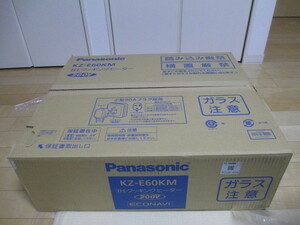 Panasonic