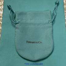 新品・未使用 TIFFANY ティファニー NY本店限定 非売品 チャーム 巾着 紙袋 ポーチ アクセサリーケース ショッパー_画像4