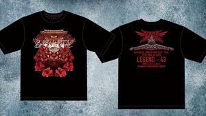 BABYMETAL LEGEND 43 TEE Mサイズ 沖縄 ベビメタ Tシャツ