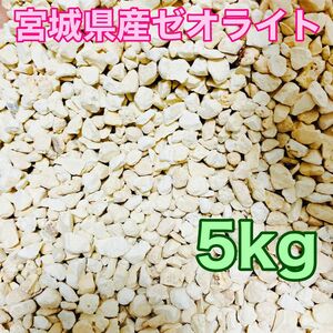 宮城県産 天然ゼオライト 粒状5-10ｍｍ 5kg