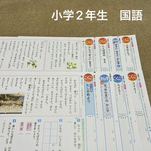 ③小学2年生　国語　カラーテスト