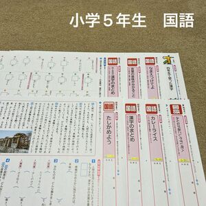 小学5年生　国語　カラーテスト