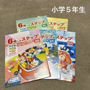 小学5年生　しあげドリル