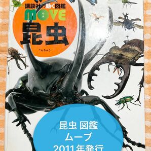 講談社 動く 図鑑 MOVE ムーブ 昆虫 2011年 第1刷 発行 傷 やぶれあり カブトムシ クワガタ 幼児 小学校 