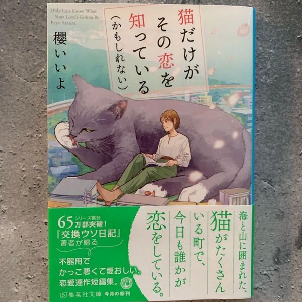 猫だけがその恋を知っている〈かもしれない〉 （集英社文庫　さ７０－１） 櫻いいよ／著