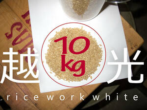 Новый рис 2023 Бесплатная доставка Кошихикари из префектуры Точиги 10 кг 2023 Производство белого риса риса -класса White 0