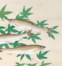 【真作】天野大虹「香魚」掛軸 絹本 花鳥図 鳥獣 鮎 青紅葉 明治平成期の日本画家 詩人 兵庫の人 山口華楊に師事 共箱 ｈ032722_画像7