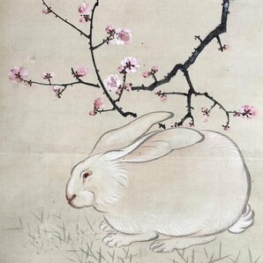 【模写】青柳一養「梅に兎之図」掛軸 絹本 花鳥図 鳥獣 日本画 日本美術 人が書いたもの 合箱 ｈ020212の画像9