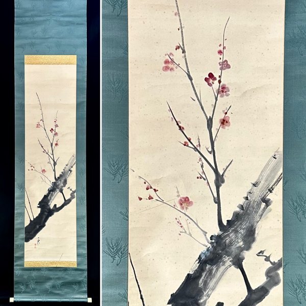 [Genuino] Furuya Iccho Flores de ciruelo Colgando Pergamino Flores de papel Pintura japonesa Arte japonés Pintor japonés Estudiado bajo Yamamoto Shunkyo Nacido en Kioto Caja h020221, Cuadro, pintura japonesa, Flores y pájaros, Fauna silvestre