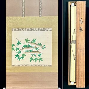 Art hand Auction 【正品】天野大品香鱼挂轴, 丝绸, 花鸟, 飞禽走兽, 香鱼, 蓝色秋叶, 明治平成时期的日本画家, 诗人, 兵库县人, 师从山口佳代, 同盒H032722, 绘画, 日本画, 花鸟, 飞禽走兽