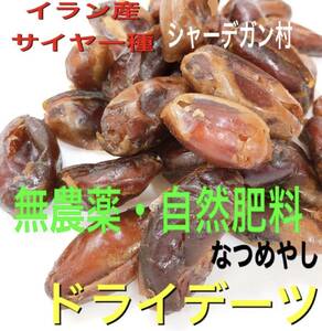 イラン産 デーツ 700g 種無し 自然肥料 農薬不使用 ドライフルーツ