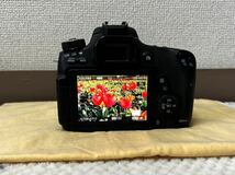 ☆ キヤノン デジタル一眼レフカメラ Canon EOS 8000D ボディ オプション多数 ☆_画像5