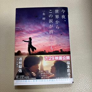 今夜、世界からこの涙が消えても （メディアワークス文庫　い１１－３） 一条岬／〔著〕