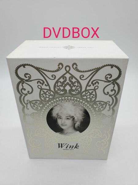 WINK/WINKVisual Collection～1988-1996 ヴィジュアル全集〈初回生産限定・14枚組〉 DVDBOX