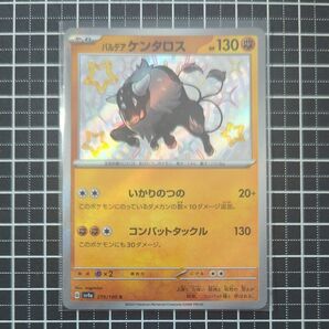 パルデアケンタロス S シャイニートレジャーex