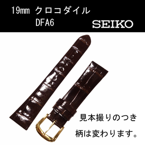 セイコー クロコダイル DFA6 19mm こげ茶 時計ベルト バンド フランス仕立て 新品未使用正規品 送料無料