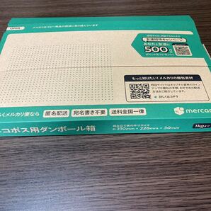 ［柔らかい］ホソワラジムシ80匹 ３〜5ミリ前後 トカゲ、イモリ、カエル、ばら撒きえさ用 親ワラジムシです！の画像5