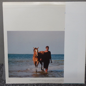 WHITNEY HOUSTON・ホイットニー・ヒューストン / そよ風の贈りもの (帯あり・国内盤)     LP盤・25RS-246の画像3