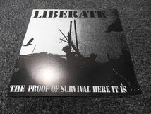 LIBERATE / THE PROOF OF SURVIVAL HERE IT IS 　 　 LP盤・BSR023_画像2