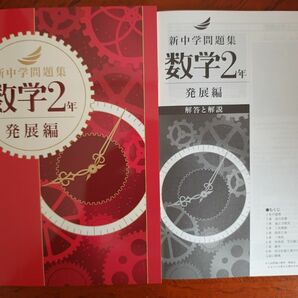 【2024年度最新版】 新品 新中学問題集 数学（発展）中２【解答付】