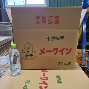 引っ越し用　段ボール　１００サイズ　１０枚