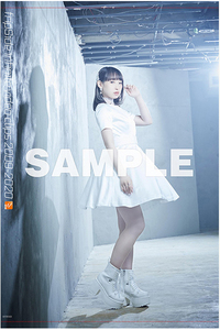 fripSide infinite video clips 2009-2020 Blu-ray ソフマップ特典 南條愛乃 B2タペストリー