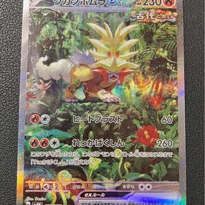 ポケモンカード　ウガツホムラex SAR ワイルドフォース