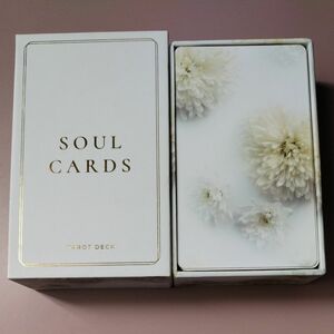 SOUL CARDS 白 タロットカード