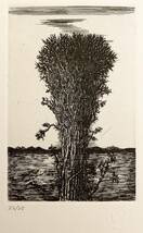 銅版画「大樹を見あげる魚」