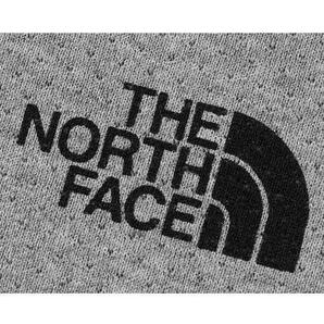 ★新品 5390円 THE NORTH FACE ザ ノース フェイス（M）Tシャツ 半袖 グレー NT32370★の画像2