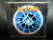 (14)　 DEF LEPPARD　　/　 ADRENALIZE　　　日本盤　 　 ジャケ、経年の汚れあり_画像1