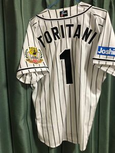 中古 NPB プロモデル 阪神タイガース 鳥谷① キャプテンC ユニフォーム 