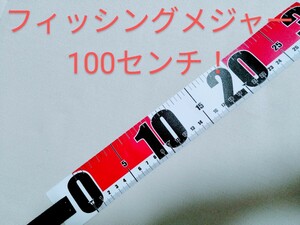 特フィッシングメジャー【匿名配送であんしん】100ＣＭ　塩ビ軽量コンパクト　釣りメジャー　　　　