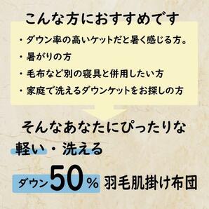 【２枚セット】洗える 西川羽毛肌掛け布団 シングル 西川 ダウンケット 夏用 洗濯可能 150×210cm 羽毛肌 羽毛ふとん 夏肌ふとん ダウン50%の画像9