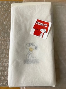 Zoff スヌーピーメガネケース　PEANUTS