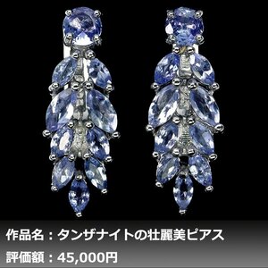 【1円新品】イケゾエガレ｜3.00ct 天然タンザナイト K14WG仕上ピアス｜作家モノ｜本物保証｜NGL鑑別対応