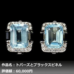 【1円新品】イケゾエガレ｜5.00ct 天然ブルートパーズ&スピネル ダイヤモンド ダイヤモンド K14WG仕上ピアス｜作家モノ｜本物保証｜NGL鑑別