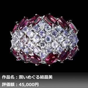 【1円新品】イケゾエガレ｜4.00ct 天然タンザナイト&ガーネット K14WG仕上リング 15号｜作家モノ｜本物保証｜NGL鑑別対応