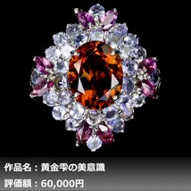 【1円新品】イケゾエガレ｜8.50ct 天然シトリン&ガーネット&タンザナイト K14WG仕上リング 16号｜作家モノ｜本物保証｜NGL鑑別対応_画像1