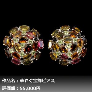 【1円新品】イケゾエガレ｜12.00ct 天然トルマリン&サファイア K14WG仕上ピアス｜本物保証｜作家モノ｜NGL鑑別対応の画像1