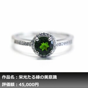 【1円新品】イケゾエガレ｜1.50ct 天然クロムディオプサイト ダイヤモンド K14WG仕上リング 17号｜作家モノ｜本物保証｜NGL鑑別対応