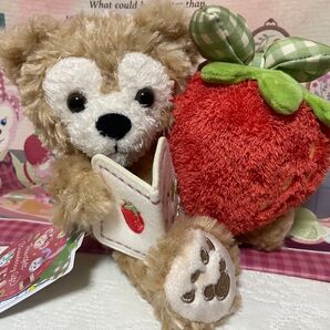 【新品タグ付き】ダッフィー ぬいぐるみ ハートフェルト・ストロベリーギフト