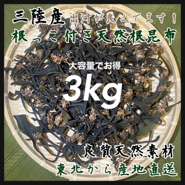 【根付き昆布・天然根昆布】大容量3kg 天然素材　海藻　乾燥昆布　こんぶ　わかめ　海藻　おすすめ